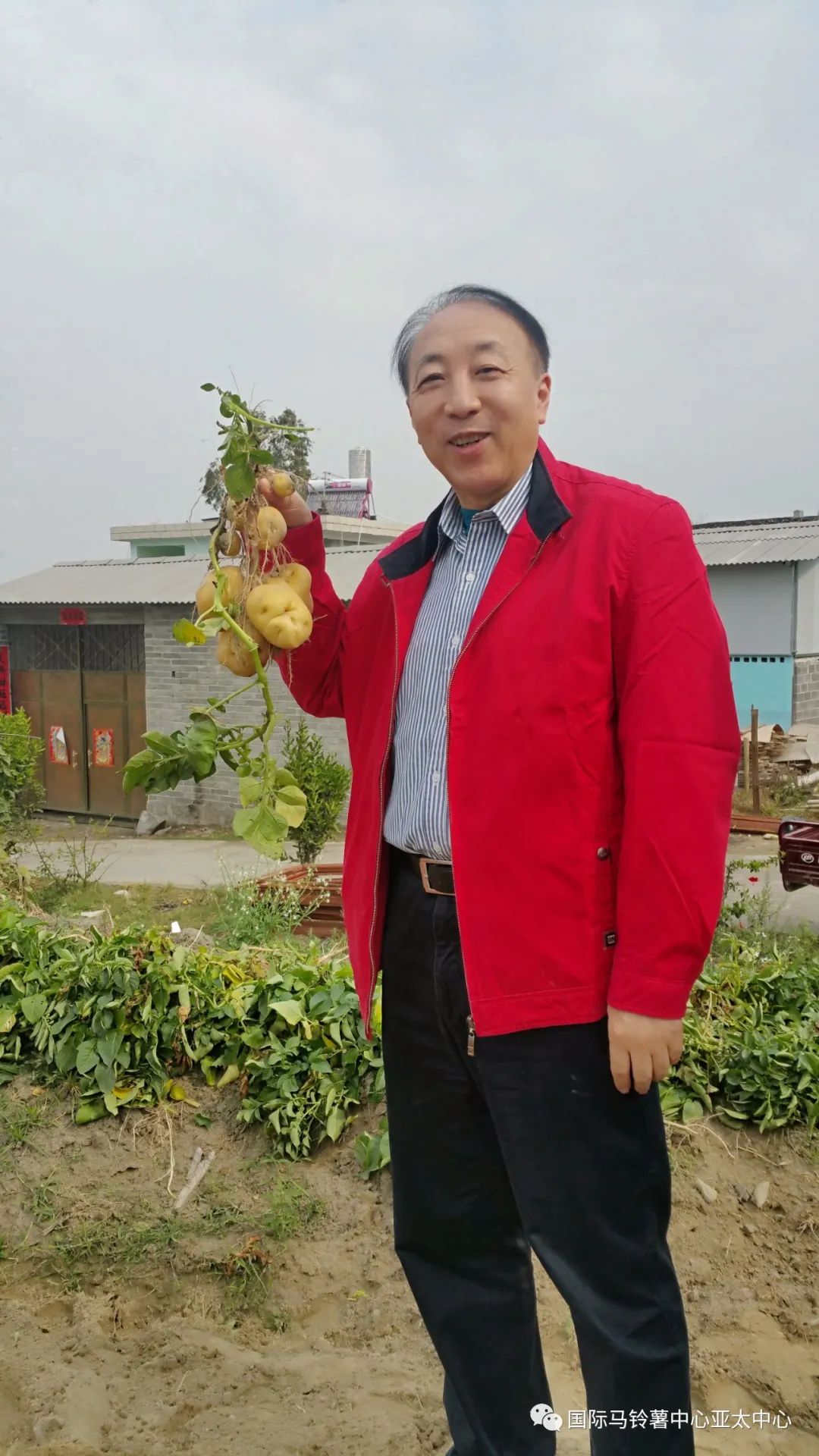 国际马铃薯中心亚太中心主任卢肖平
